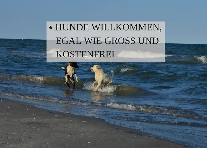 Haus Krabbe, Doppelzimmer 4, Fuer 1-2 Personen, Doppelbett, Ohne Kueche, Zentral Gelegen, Am Elbe-Weser-Radweg Mit Fahrradunterstellmoeglichkeit, Auch Fuer E-Bikes, Ideal Fuer Kurzaufenthalte, Smart-Tv 42 Zoll, Kostenfreier Parkplatz,