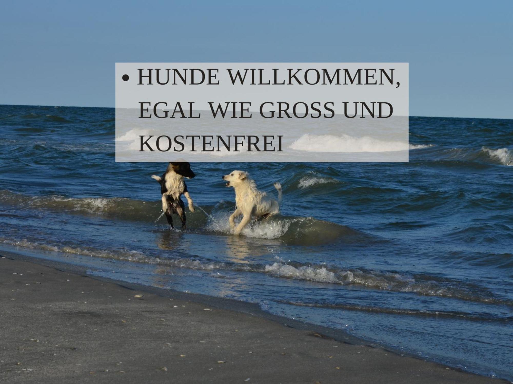Haus Krabbe: Cyclist-friendly On Elbe-weser Bike Path Homestay Wremen